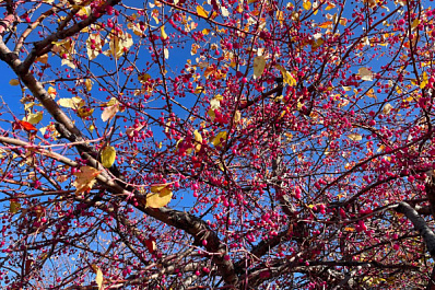 Народные приметы на 23 сентября 2024 года: что нельзя делать в этот день