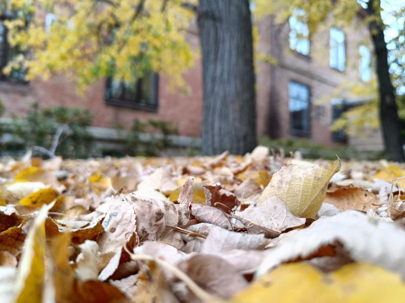 Октябрь в Самарской области будет суше, чем обычно