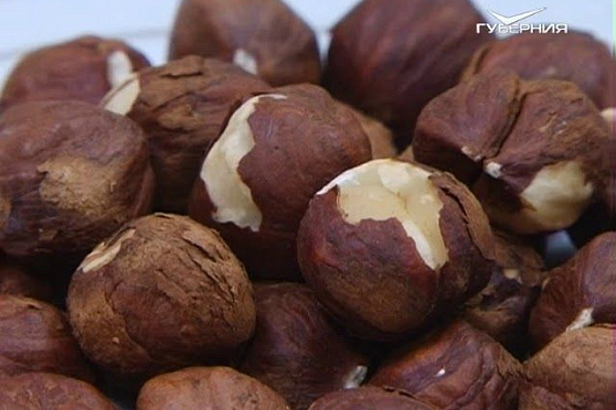 Фундук. Сохраняйте чек от 29.04.2018