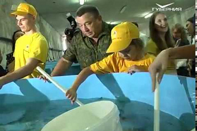 В районе Винновки в Волгу выпустили 15 тысяч мальков стерляди