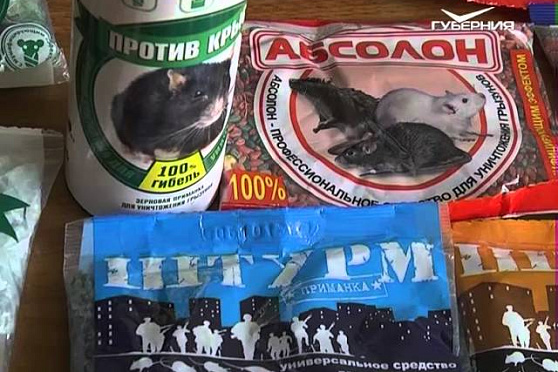 Дачные советы 1.10.15 