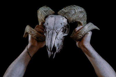 Парад планет 21 января дал начало Судному дню?: какую опасность таит это явление