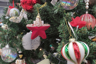 Самарский нутрициолог назвал три главных правила подготовки к новогодней ночи