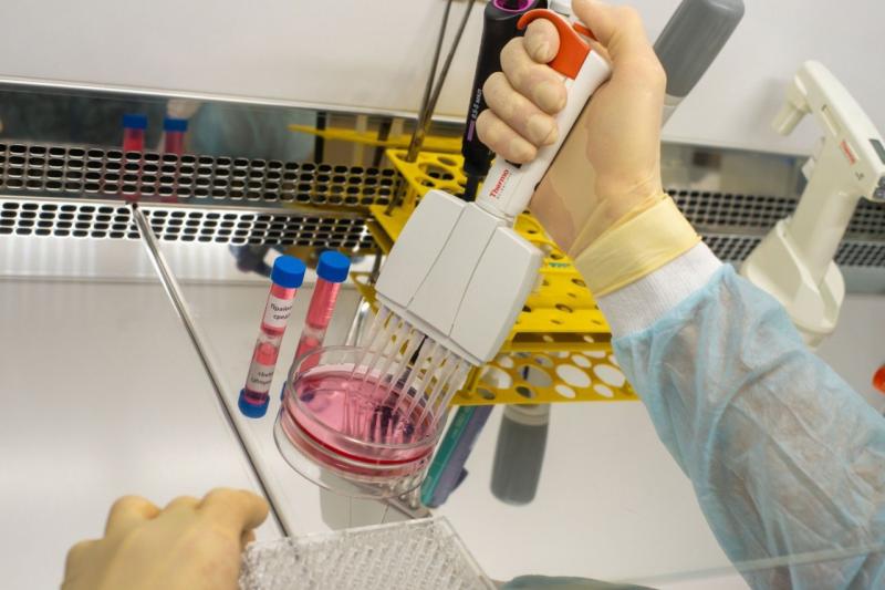 Самарские ученые создали тест-систему, определяющую эффективность лекарств