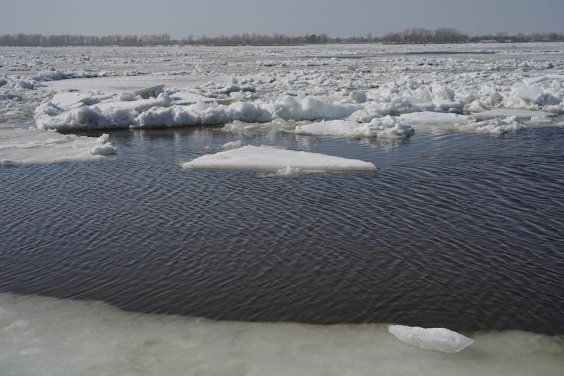 В Самарской области прогнозируют раннее половодье и вскрытие рек до 1 апреля