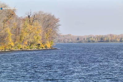 В Самарской области в Волгу выпустили более 80 тысяч мальков толстолобика