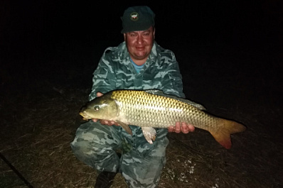 Настоящий крокодил: в Самарской области рыбак поймал гигантского сазана