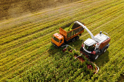 Управляют "погодой" и хозяйством: заведующий фермой в Кинельском районе рассказал о профессиональном пути и современной технике