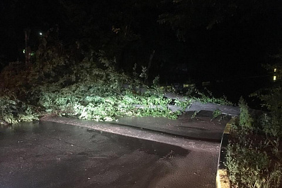 Во время шторма в Самаре деревья падали прямо на дороги