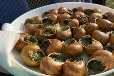 В Самарской области улиткам посвятили фестиваль