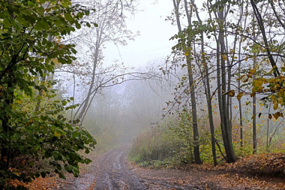 Название статьи