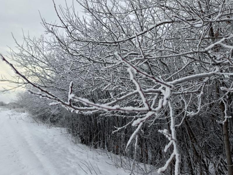 В Самарской области 4 февраля будет снежно и тепло