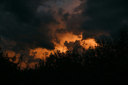 Название статьи