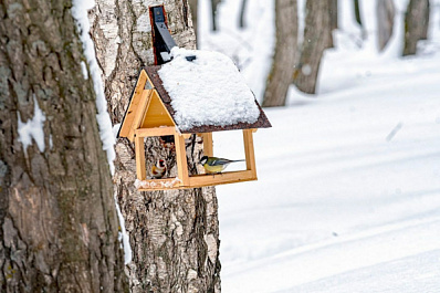 Народные приметы на 7 февраля 2025 года: что нельзя делать в этот день