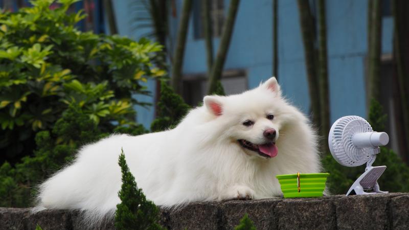 19 августа 2021 года в Самарской области воздух прогреется до + 38 градусов