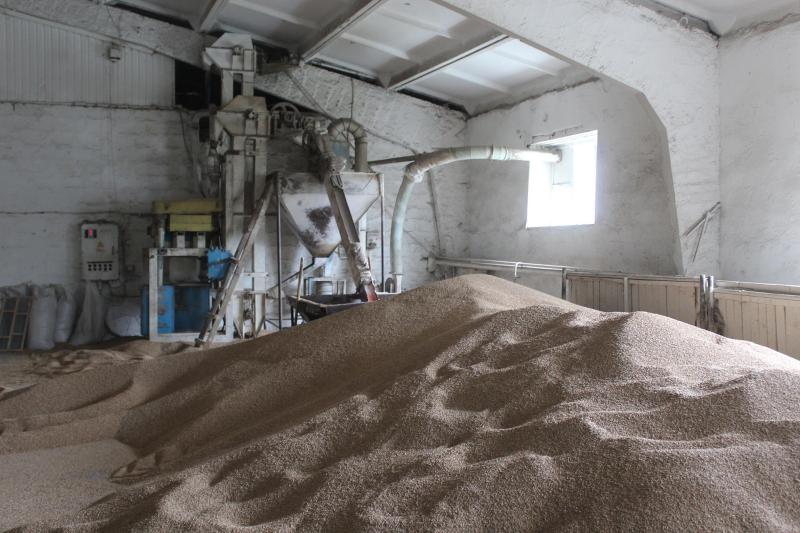 Задача со "Звездой": как аграрии Исаклинского района закончили агросезон