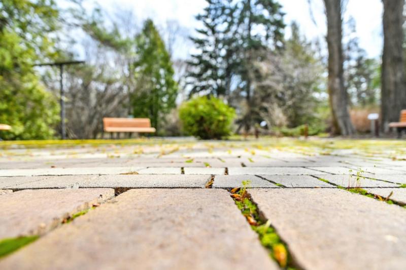 В Самарской области объявили желтый уровень опасности из-за жары 22 августа