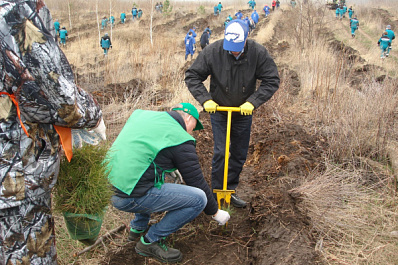 В Самарской области пройдут мероприятия всероссийского проекта "Посади лес"