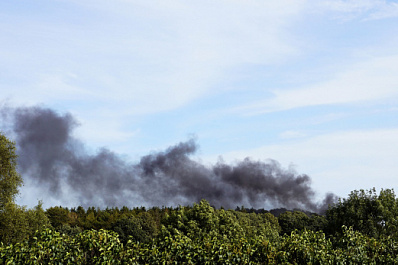 В Самарской области из-за жары установили 5 класс пожарной опасности лесов