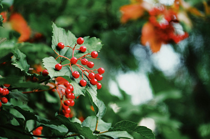 Название статьи