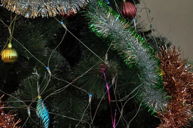 Благотворительная акция "Чудо-дерево" помогла исполнить желания воспитанников школ-интернатов региона