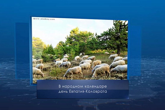 День Евпатия Коловрата. Календарь губернии от 24 августа