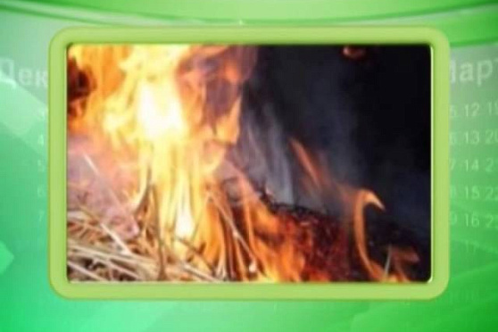 Календарь Губернии 12.05.2014