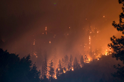 Режим чрезвычайной пожарной опасности лесов в Самарской области продлили до 7 июня