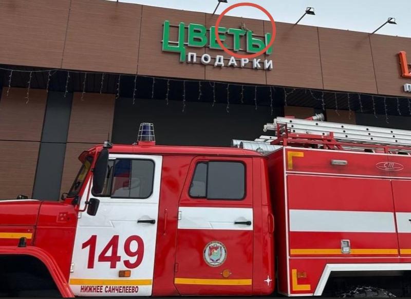 В Самарской области пожарные-спасатели помогли застрявшему филину