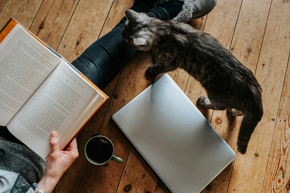 Название статьи