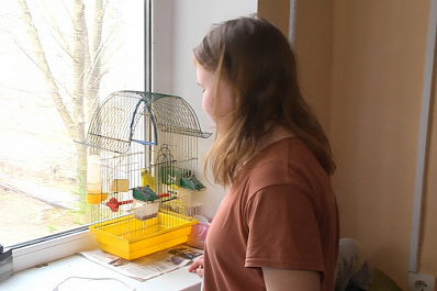 И в огонь, и в воду: попугай из Мариуполя вместе с хозяевами приехал в Безенчук