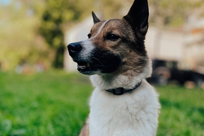 Название статьи