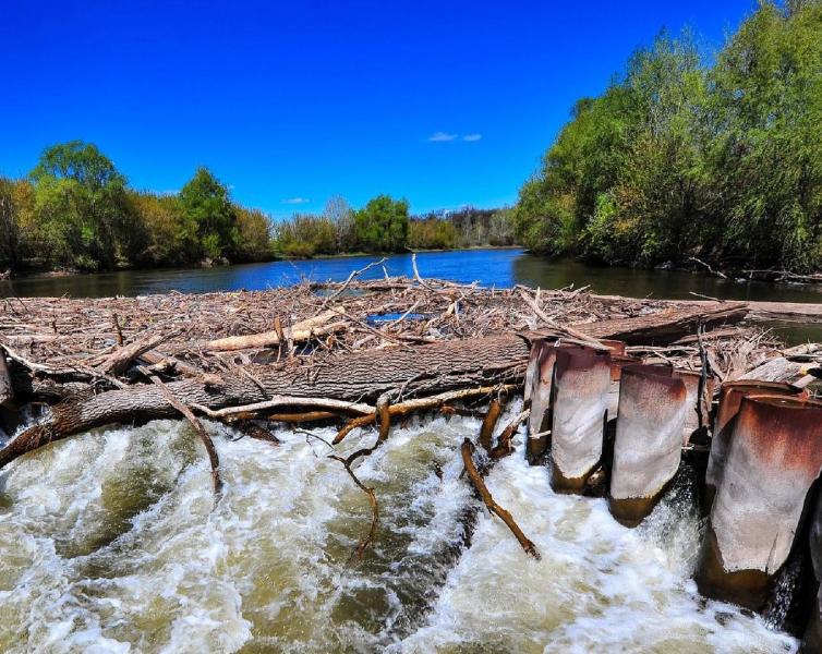 "Серебряные" волонтеры из Тимашево очистили от мусора "Шум"
