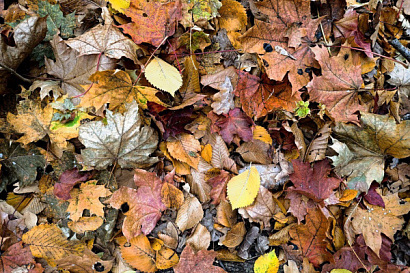 Название статьи