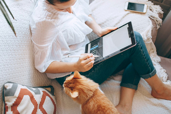 День обучения. Такое утро