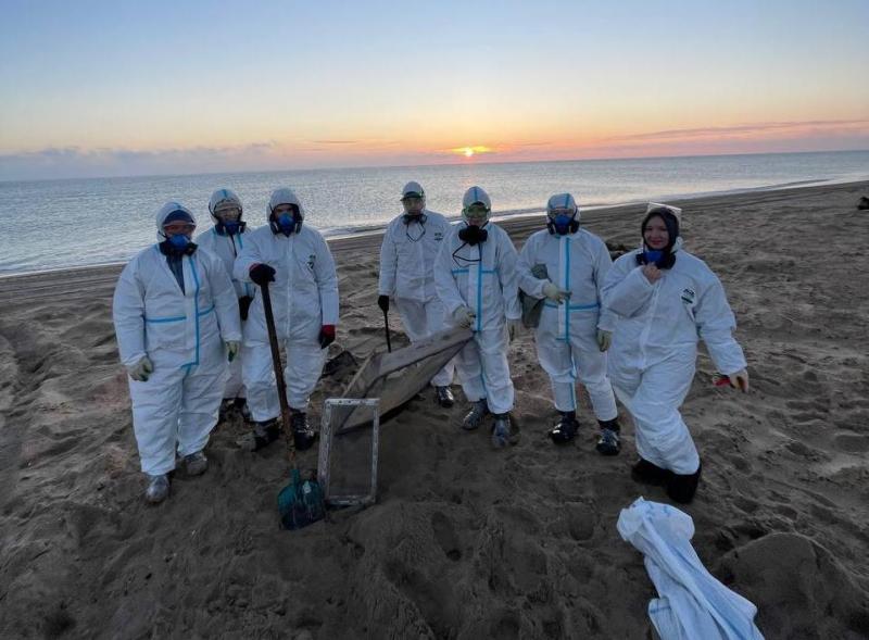 Девушка-волонтёр из Самары собирает группу по спасению природы в Анапе 