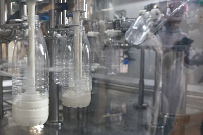 Стало известно, в чем польза молока для здоровья