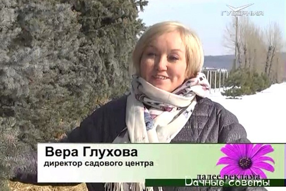 Дачные советы 16.03.2017. Посевные работы