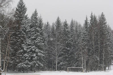 Весна в Самарской области начнется метелью и похолоданием до -15 °C
