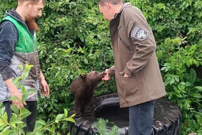 Название статьи