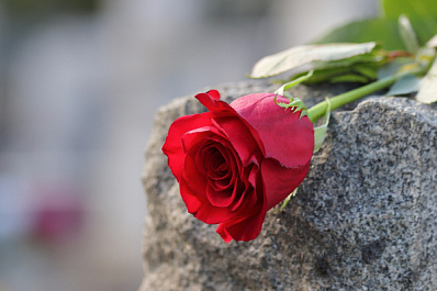 В Тольятти на кладбище снесли незаконный ритуальный павильон