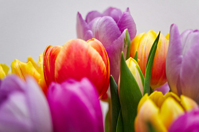 Самарцы к 8 Марта стали чаще покупать съедобные букеты, видеоигры и сумки