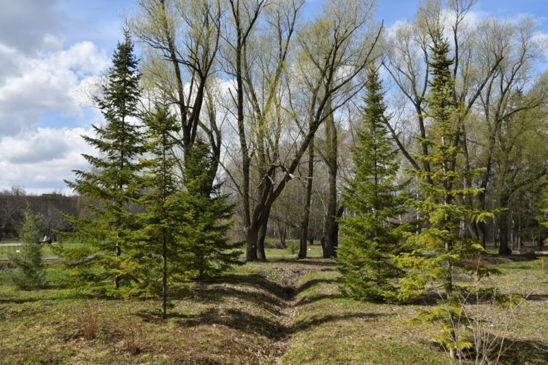 Погода на 18 апреля 2025 года: народные приметы и прогноз синоптиков