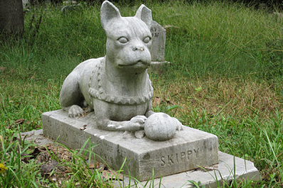 В Тольятти ликвидируют стихийное кладбище домашних животных