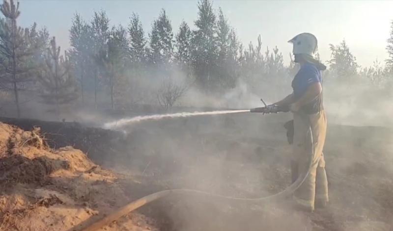 Лесной пожар в Самарской области локализован