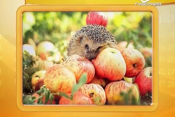 Календарь губернии 24.09.2016