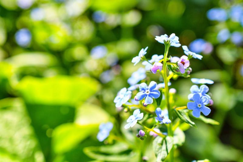 В Елховке стартовало масштабное обновление парка Ленина