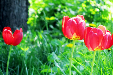 Россиянам напомнили о длинных выходных