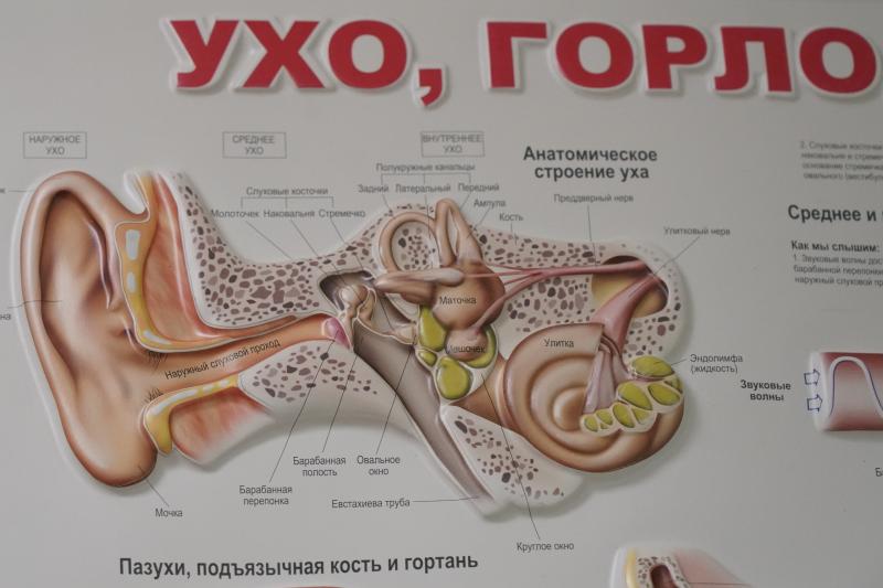 Стало известно, как в Самаре помогают детям с нарушениями слуха