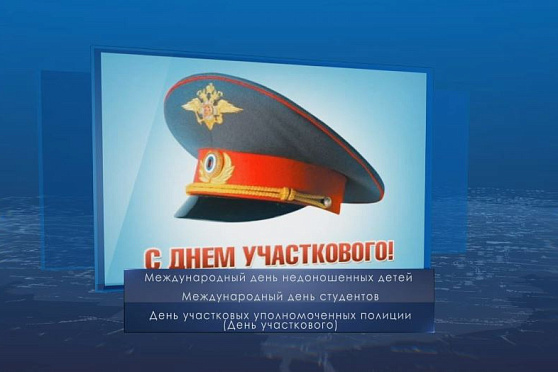 День участковых уполномоченных полиции. Календарь губернии от 17 ноября